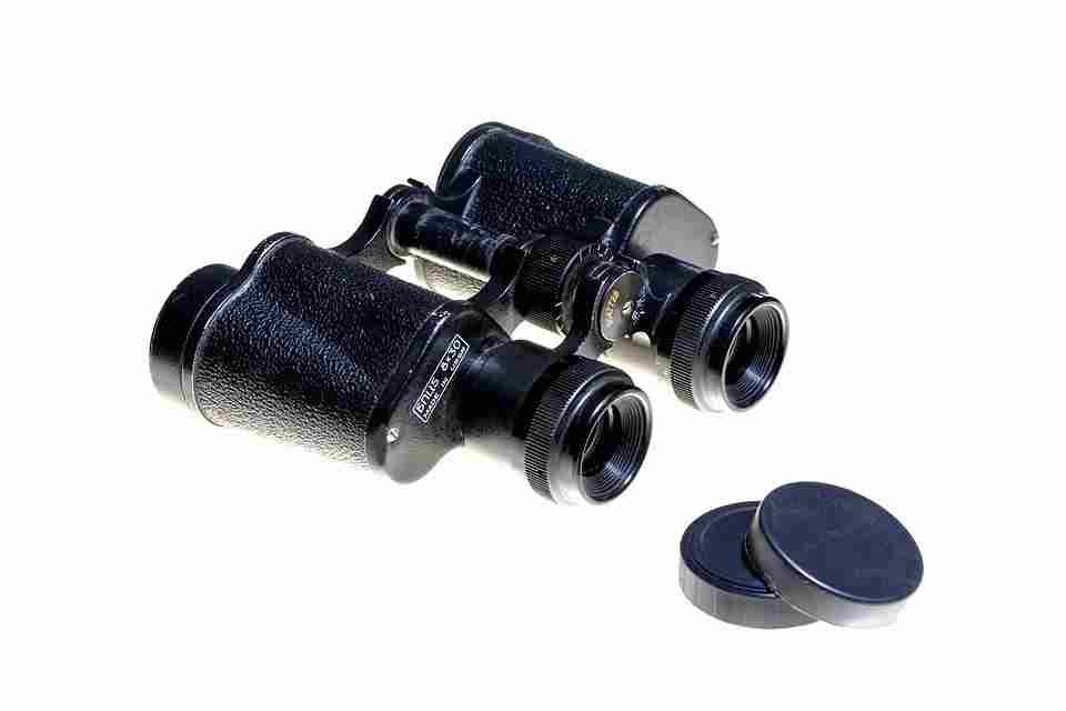 Binoculars Buying Guide